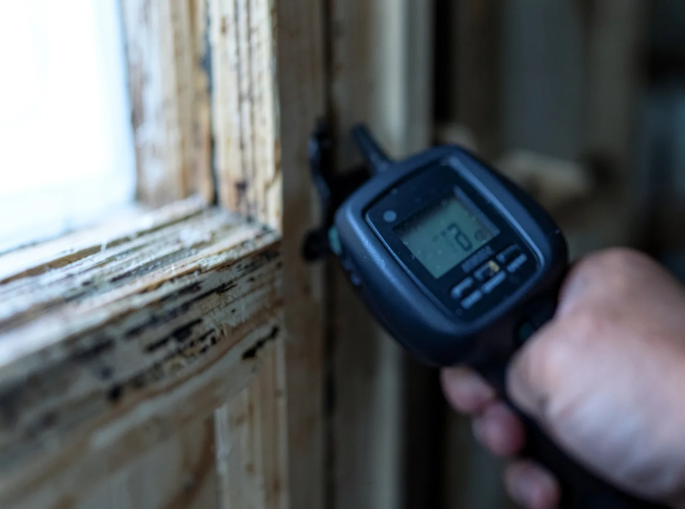 Moisture Inspection And Documentation in Sea Isle City, NJ